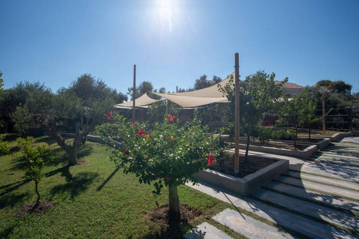 Από τον κήπο μας στο τραπέζι σας - Butterflies Zante Luxury Villas & Spa - Ζάκυνθος