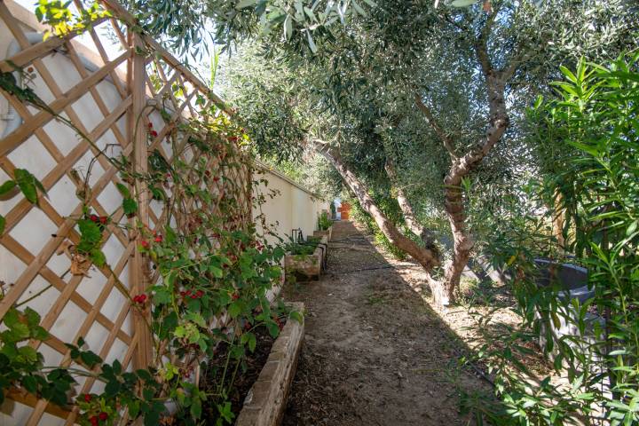  - Butterflies Zante Luxury Villas & Spa - Ζάκυνθος